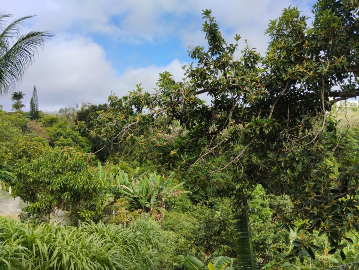 Apartamento Cercado Por Natureza E Diversao Maceió Eksteriør bilde