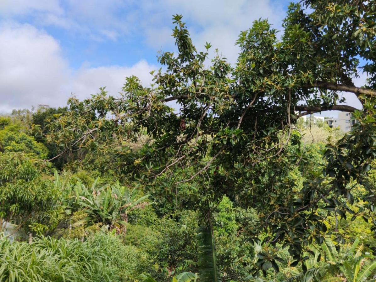 Apartamento Cercado Por Natureza E Diversao Maceió Eksteriør bilde